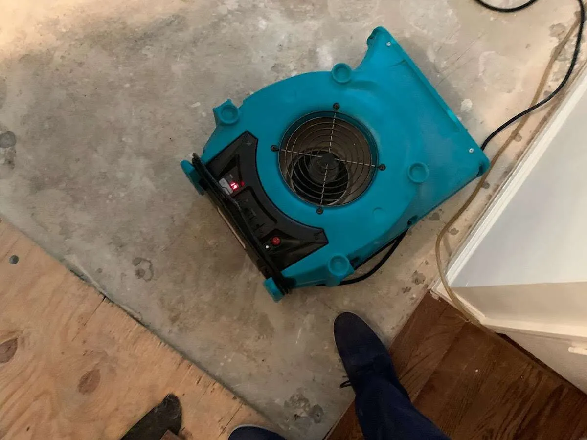 Air mover drying subfloor during Commercial Water Damage Restoration in Dickson